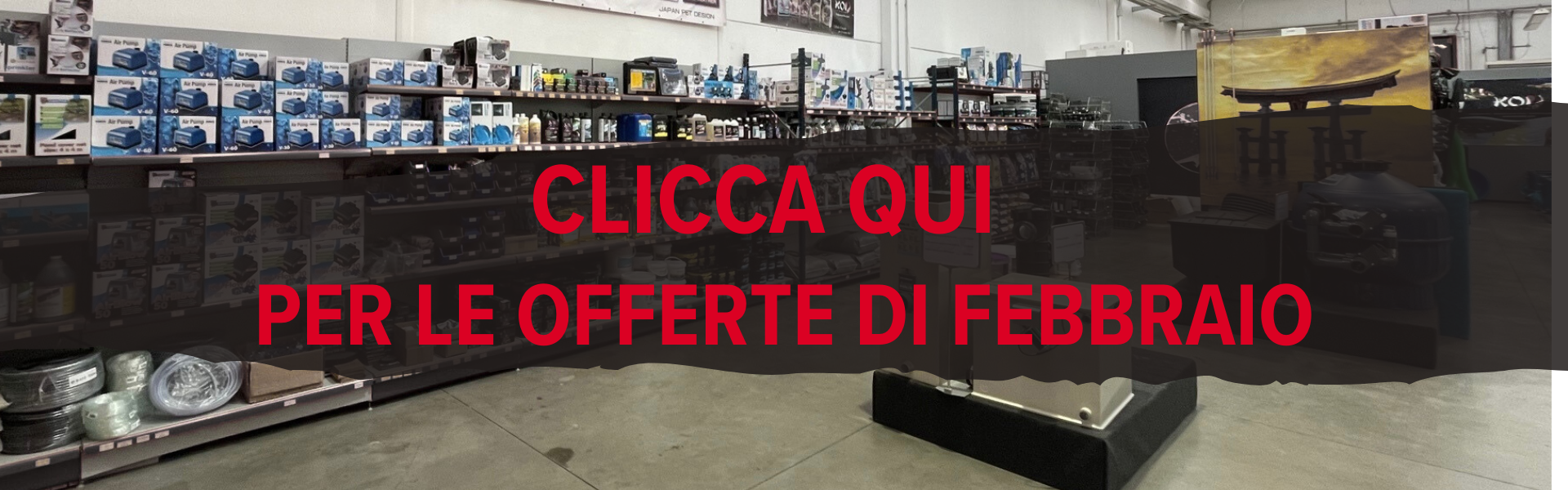 offerta del mese 